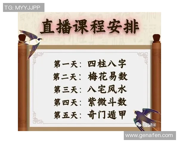深入浅出足球知识科普让你轻松掌握这项全球运动的魅力与技巧